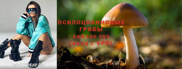 прущая мука Беломорск