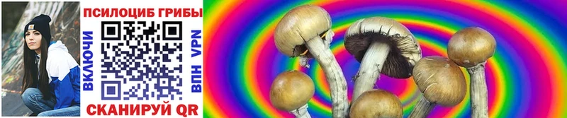 магазин    Лакинск  Псилоцибиновые грибы GOLDEN TEACHER 